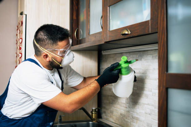 Best Insect Control  in Inver Grove Heights, MN
