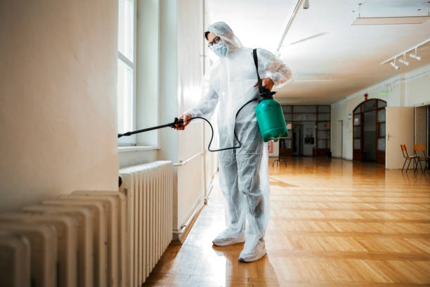 Best Termite Control Services  in Inver Grove Heights, MN